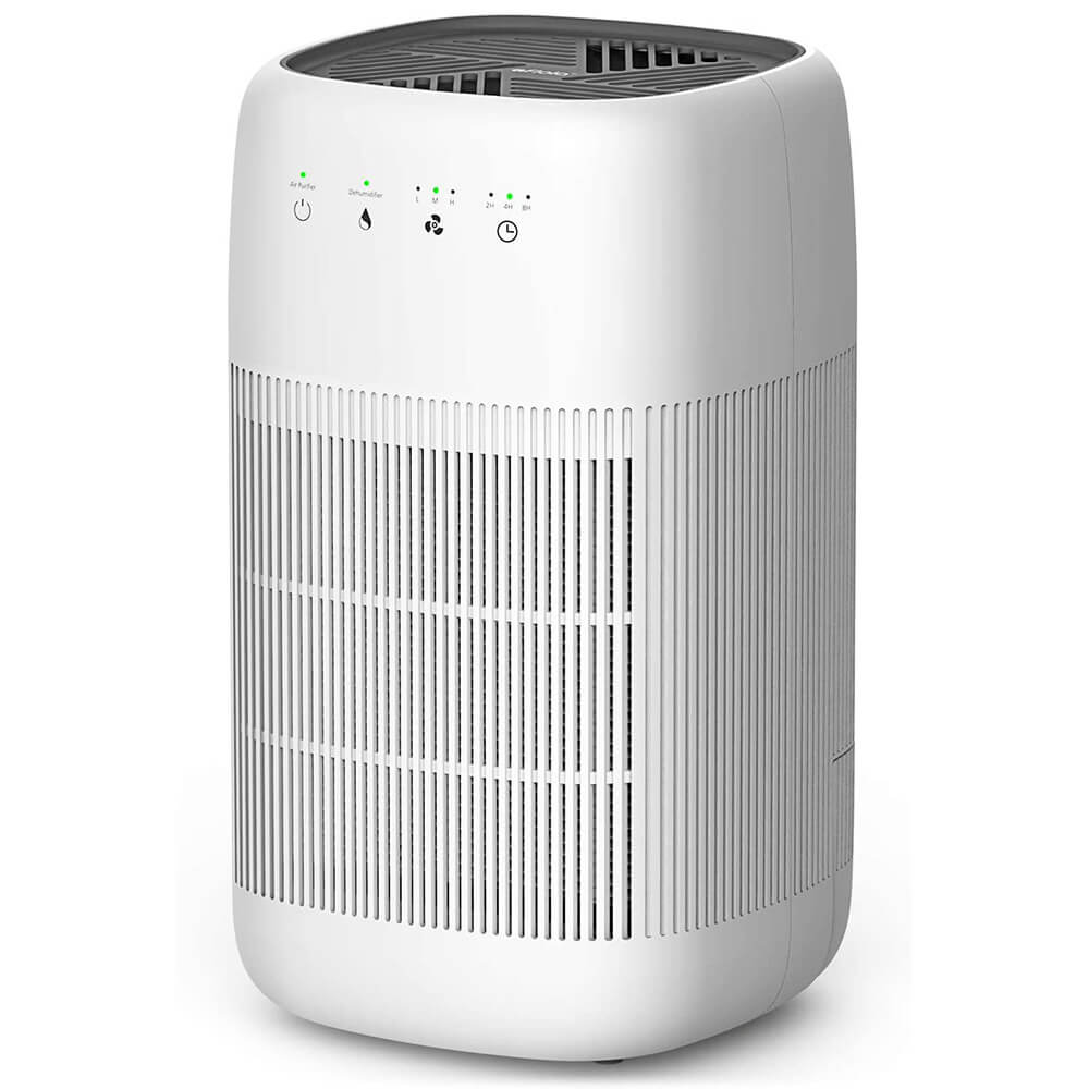 2200ml dehumidifier with air purifier